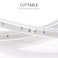 Ruban LED haute tension SMD5050 2835 découpable, rouleau de 50m 100m, IP67, PVC, couleur blanche, RGB, 110v
