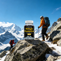 Bonbons gélifiés au Shilajit : Favorise l'équilibre hormonal, améliore la mémoire et le sommeil, booste l'énergie - Complément alimentaire à base de plantes