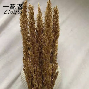 2022ปีใหม่เก็บรักษาไว้ดอกไม้ทองสไตล์ที่มีคุณภาพดีทองดอกไม้แห้งสำหรับตกแต่งบ้าน - Product Image 2