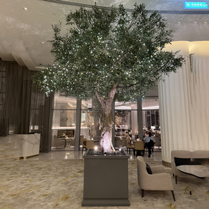 <strong>Real</strong> Touch <strong>Olive</strong> <strong>Trees</strong> Artificial Indoor Decorative Large Bonsai <strong>Tree</strong> For For Hotel Restaurant Shopping Mall Decoration - Product Image 3