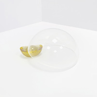 Fenêtre de clôture détachable pour chien JERY fenêtre de visualisation de porte dôme transparente pour animaux de compagnie