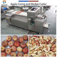 Industriële appelverwerkingsmachine, appelwas- en ontpitter-snijmachine voor conservenfabrieken