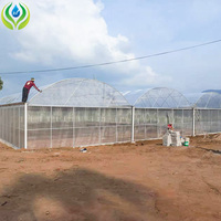 Film Plastique MYXL pour Serre Agricole, Résistant aux UV, Serre Tunnel Hydroponique en PE pour Légumes, Faible Coût