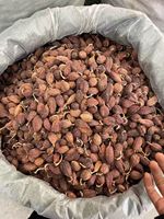 Amomum Tsaoko Zwarte Kardemom Cao Guo Gedroogd Fruit AD Verwerkt Groothandel Kruiden Voedsel Kruiding 25Kg