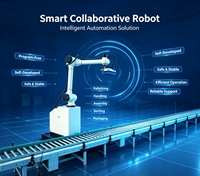 Robot de Paletización Colaborativo de Alta Eficiencia, Equipo de Manipulación Automática Seguro y Estable