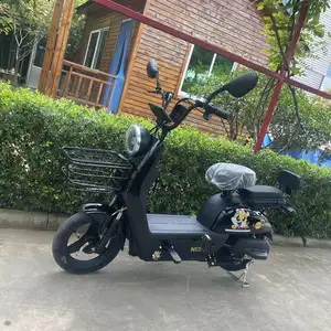 Iki düşük maliyetli yeni 350W yükseltilebilir elektrik motorları 48V elektrik güç destekli bisikletler pedallar elektrikli bisiklet scooter