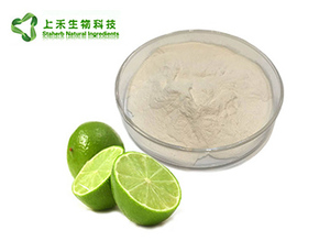 Chất lượng cao tiêu chuẩn citrus aurantium chiết xuất bưởi Peel chiết xuất Hesperidin naringin powder <span class=keywords><strong>extract</strong></span> - Product Image 5