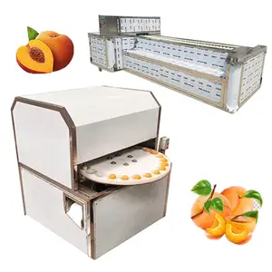 Good Price Fruit Stonce Extractor Dry Date Pitting Cherry Core Remove Machine