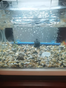 <span class=keywords><strong>Aquarium</strong></span> decoratieve steenbalk buis rechthoekige belmuur luchtverspreider voor viskom zuurstofvermeerdering - Product Image 4