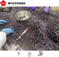OEM/ODM kualitas tinggi jual panas pabrik Cina makanan buah beku untuk grosir dan ritel IQF Frozen Mulberry seluruh HACCP BRC
