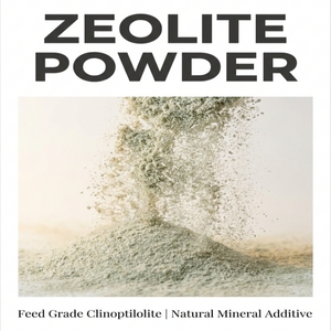 Clinoptilolite activée de haute pureté, qualité industrielle, zéolite en poudre à mailles fines pour amendement du sol et support d'engrais agricole - Product Image 1