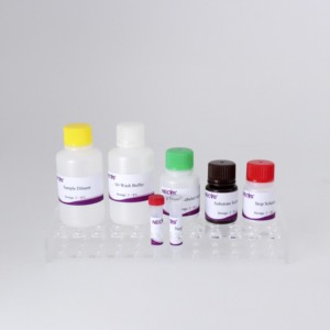 Phi lợn sốt virus kháng thể kiểm tra | cạnh tranh <span class=keywords><strong>Elisa</strong></span> Kit | độ nhạy cao | ISO chứng nhận - Product Image 5