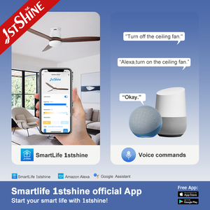 Ventilador de techo Led con Motor de CC montado al ras, ahorro de espacio, ventilador de techo de viento ajustable inteligente con luz LED, 1 unidad - Product Image 6