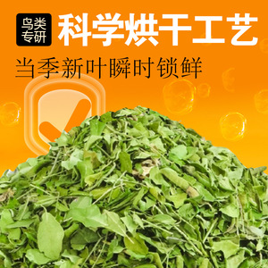 Moringa Leaf Parrot Treats Bulk Calcium Supplement For <b>Budgies</b> Cockatiels Sun Conures Monkeys Eco Friendly Bird <b>Food</b> - Product Image 1