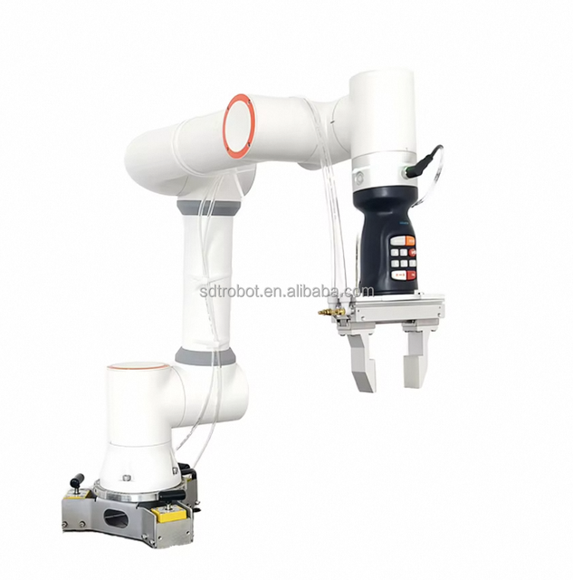 High Precision Multifunction Flexible Deployment Universal Robot 6-axis Palletizing Robot Arm for Sorting