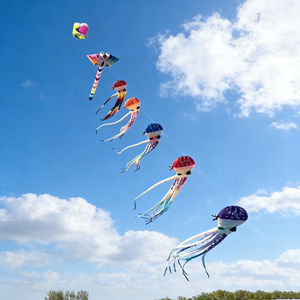 <span class=keywords><strong>Cerf</strong></span>-<span class=keywords><strong>volant</strong></span> souple sans cadre en forme de pieuvre gonflable de grande taille, animal marin éclatant, pour adultes, pour le vol en extérieur, la plage, le parc et les sports - Product Image 3