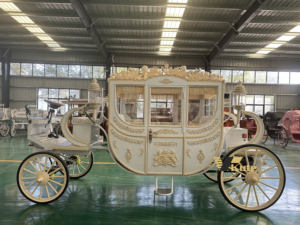 Carrozza a cavallo per matrimonio elegante carrozza per matrimonio indiano principessa Buggy per famiglie reali - Product Image 4