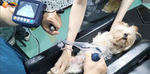 Scanner ultrasonique de dispositif vétérinaire portatif d'Usg pour toutes les espèces animales avec la sonde - Product Image 5