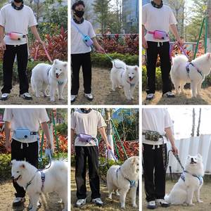 สายจูงสุนัขบันจีแบบปรับได้สุดหรูสายจูงสุนัขแถบสะท้อนแสงทำจากโพลีเอสเตอร์พร้อมสายคล้องทำจากโลหะผสมสังกะสีที่ไม่ต้องใช้มือจับทนต่อการสึกหรอ - Product Image 3