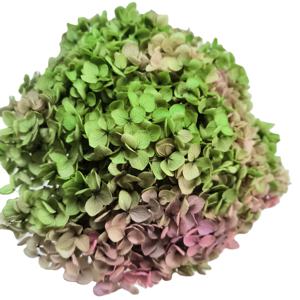 Mur de fleurs hortensias stabilisés vraies fleurs d'<span class=keywords><strong>hortensia</strong></span> séchées anna <span class=keywords><strong>hortensia</strong></span> préservé pour les événements à la maison décor de mariage bricolage artisanat - Product Image 2