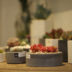 <span class=keywords><strong>Pot</strong></span> <span class=keywords><strong>de</strong></span> table en ciment mini rond, style industriel, texture originale, solide, épaissi, avec tapis antidérapant, respirant et respectueux des racines - Product Image 2