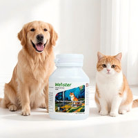 Comprimés VitaFit pour le soutien des articulations des chiens et des chats, avec de l'calcium et de la chondroïtine, absorption rapide, 60g pour animaux de compagnie