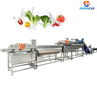 Laveuse Commerciale à Turbine pour Fruits et Légumes, Idéale pour le Traitement des Pommes, Tomates et Mangues
