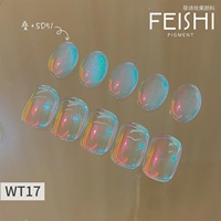 2025 Offre Spéciale outre-mer vernis à ongles Pigment Aurora poudre ongles fournitures Pigment caméléon couleur bonbon peinture à ongles Pigment poudre