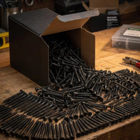 Vis à cloisons sèches à tête Phillips phosphatées noires, à alimentation automatique, pour outils de fixation à visseuse électrique