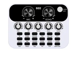 Internet Celebrity Anchor Live Broadcast with Goods Microphone Professional Live Broadcast Equipment Set 16 Channel Sound Card