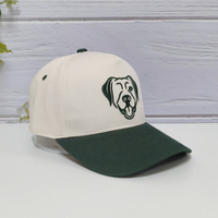 Gorra de Béisbol Personalizada con Bordado de Logotipo de Perro, Dos Tonos Crema y Verde, 5 Paneles, Estructurada, de Alta Calidad, para Hombre y Mujer, para Actividades al Aire Libre