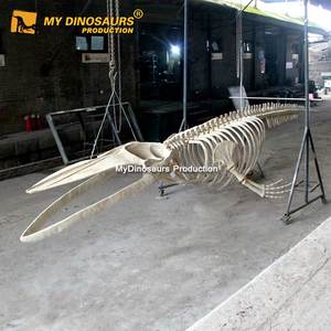 Mijn Dino <span class=keywords><strong>Aquarium</strong></span> Decor Levensgrote Blauwe Walvis Skelet Te Koop - Product Image 3