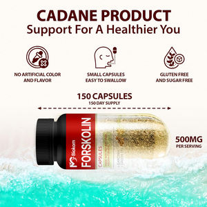 แคปซูลฟอร์สโคลิน แคปซูลลดน้ำหนัก อาหารเสริมฟอร์สโคลิน แคปซูลผสมขมิ้นชัน คูร์คูมิน อาร์จูนา การ์ซีเนีย คัมโบเจีย และชาเขียว - Product Image 4