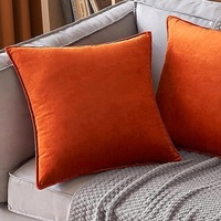 Housse de coussin de canapé de salon de luxe personnalisable en velours néerlandais uni, style nordique, avec bordure et support lombaire