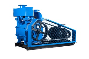 低水消費閉鎖ループシステム（水不足地域または高コスト地域向け）2BEA水環真空ポンプ - Product Image 2