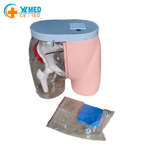 Modelo de Esqueleto de Glúteos para Entrenamiento de Inyección Intramuscular y Comparación, Modelo Transparente para Inyección en Glúteos, Modelo de Enfermería - Product Image 4