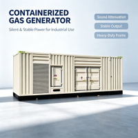 Groupe électrogène silencieux conteneurisé au gaz naturel 200-2000 kW, biogaz, GNL, ATS, démarrage automatique, plan d'alimentation industriel en conteneur
