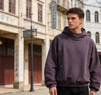 Kişiselleştirilmiş Fonksiyonel Yenilikçi Tasarım %100 Pamuklu Polar Kapüşonlu Sweatshirt Sıcak ve Kırışmaz 3D Nakış