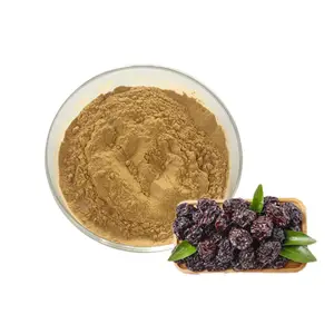 Hot Sale Kakadu Plum Powder Smoked Plum Powder Fructus Mume Powder