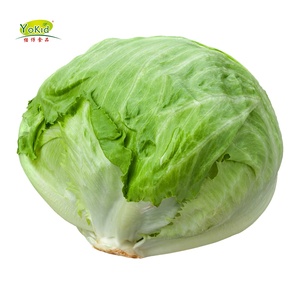 Commercio all'ingrosso di Buona Prodotto Verde Fresco Marche Lattuga Iceberg - Product Image 2