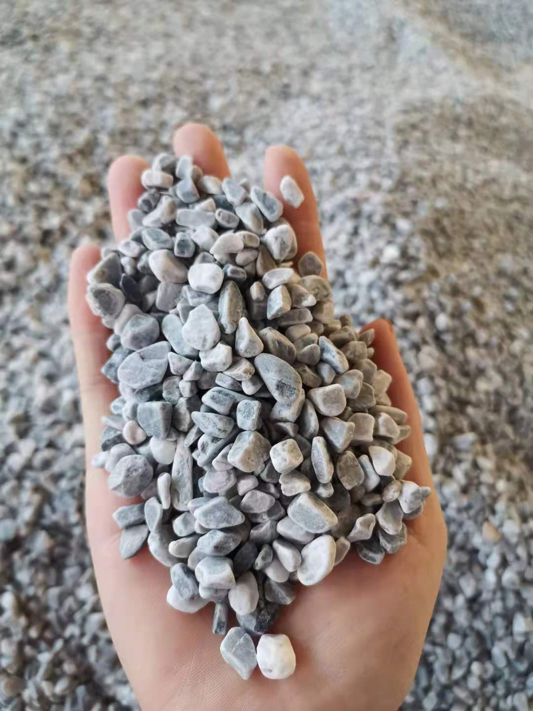 【値下げ】4175 pebble 800x2600 Fragmented Pea Gravel 3/8