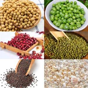 שעועית קטנה מיון שעועית מכונת רטוט מכונת ניקוי תבואה וסינון מכונה עבור סויה - Product Image 3