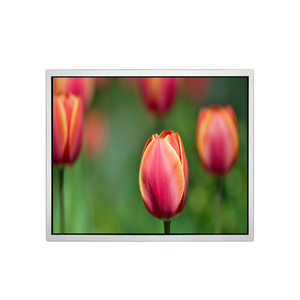 Pantalla LCD TFT DV170YGZ-N10 de 17.0 Pulgadas, 1280RGB*960 Quad-VGA, 94PPI, Nueva, Original, para Señalización Digital - Product Image 2