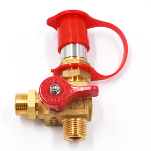 Valve de remplissage de gaz naturel Senjie Autogas Ngv1 Valve de remplissage de GNC pour voiture Valve de remplissage GNC - Product Image 1