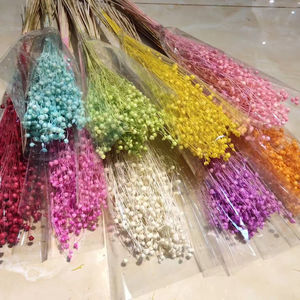 Taidian — <span class=keywords><strong>fleurs</strong></span> d'acacia <span class=keywords><strong>séchées</strong></span> naturelles, vente en gros, vraies perles, <span class=keywords><strong>séchées</strong></span>, vente en gros, B0170 - Product Image 1