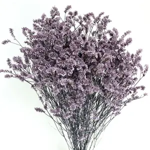 O-X295批发干燥永恒鲜花花束水晶草彩色天然保鲜花水晶草用于家庭婚礼
