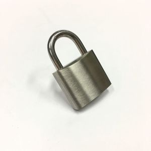 Cadenas de porte en acier inoxydable avec garantie d'un an, installation facile, design traditionnel pour usage extérieur - Product Image 6