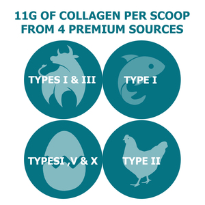 Poudre de multicollagène OEM ODM, mélange bioactif de protéines, de niacine et de sodium pour la santé des cheveux, de la peau, des ongles, des articulations, des os et du système immunitaire des adultes - Product Image 5