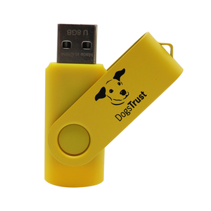 Usky tùy chỉnh kim loại USB ổ đĩa flash 8GB 16GB 32GB 64GB 128GB USB Gậy 512MB 128Mb 256Mb 1GB 2GB 4GB Bộ nhớ 2.0 Sản phẩm mới - Product Image 3