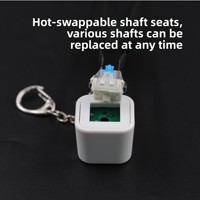 Porte-clés personnalisé avec interrupteur, axe de capuchon de clé en plastique, testeur avec son amusant, porte-clés personnalisé